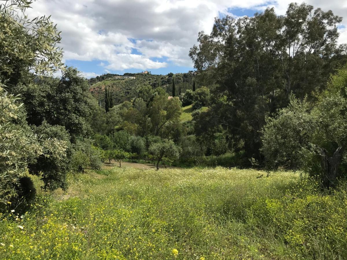 Apartamento Views Apartment, Cortijo Fruitful Hills *