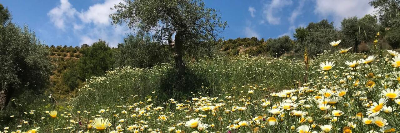 Views Apartment, Cortijo Fruitful Hills Apartamento